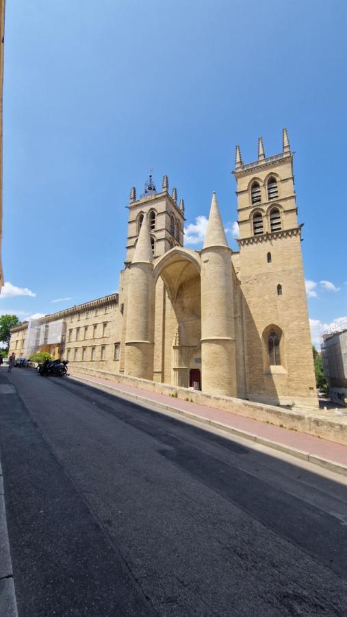 Le Petit Olivier En Coeur De Ville + Parking Incl. Montpellier Buitenkant foto