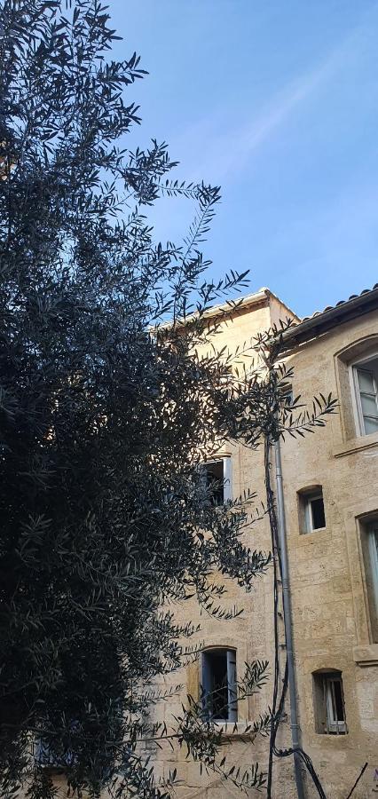 Le Petit Olivier En Coeur De Ville + Parking Incl. Montpellier Buitenkant foto
