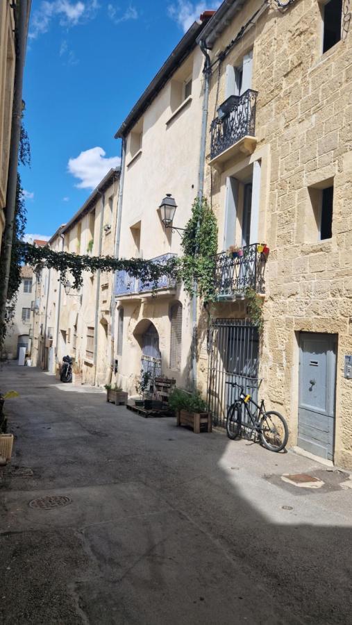 Le Petit Olivier En Coeur De Ville + Parking Incl. Montpellier Buitenkant foto